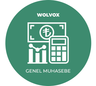 akinsoft wolvox genelmuhasebe